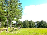 장계향문화체험교육원 | 뽈레 Polle [장계향문화체험교육원] | 뽈레 Polle