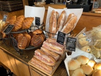 [아오이토리] 먹담곰님의 추천 포스트 2023/2/15