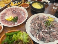 정수산 회 도매 & 바른물회 - 옥산동 횟집 | 뽈레 Polle [정수산 회 도매 & 바른물회] 옥산동 횟집 | 뽈레 Polle