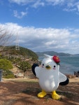 이순신공원 - 정량동 공원 | 뽈레 Polle [이순신공원] 정량동 공원 | 뽈레 Polle