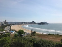 [할리스 커피 송정점] 부산사람님의 추천 리뷰 2017/6/5