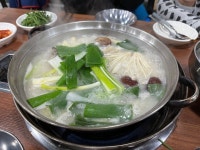 담박닭한마리 - 장위동 한식 | 뽈레 Polle [담박닭한마리] 장위동 한식 | 뽈레 Polle