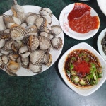 [꽃님이네] 포로롱님의 추천 포스트 2019/4/17