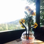나만의 맛집 지도, 뽈레 [산모퉁이] 바네님이 작성 2017/6/19
