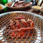 [솔낭구] 건강한돼지님의 추천 리뷰 2021/4/4