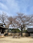 [나주 목사내아] 파랑님의 좋음 포스트 2022/3/28