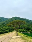 [오성제] 따뜻해님의 좋음 포스트 2022/6/11