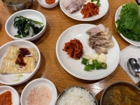 [서초보쌈] 화려한아기사슴님의 추천 리뷰 2022/5/26