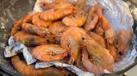 벌떡새우 - 송포동 해산물 | 뽈레 Polle [벌떡새우] 송포동 해산물 | 뽈레 Polle