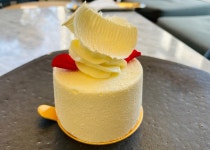 [보느 파티쓰리] 하스님의 추천 포스트 2022/11/26