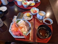 [우미노미] 새들님의 좋음 포스트 2020/11/24