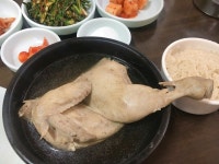 대현 옻닭식당 - 대현동 옻닭 | 뽈레 Polle [대현 옻닭식당] 대현동 옻닭 | 뽈레 Polle