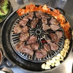 [부산갈매기] 🍉툥툥이님의 추천 포스트 2019/4/24