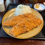 [가츠신] 깽민님의 추천 리뷰 2021/5/2