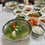 팔도식당 - 무전동 한식 | 뽈레 Polle [팔도식당] 무전동 한식 | 뽈레 Polle