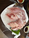 [옛날마차] 고굼아랏데님의 추천 포스트 2023/2/10
