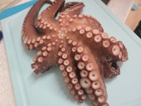 [선창수산] 최고야님의 추천 리뷰 2022/8/28