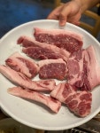 [연리지 가든] 파숑숑님의 평가보류 포스트 2021/8/26