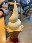 백미당 종로타워점 - 공평동 아이스크림 | 뽈레 Polle [백미당 종로타워점] 공평동 아이스크림 | 뽈레 Polle
