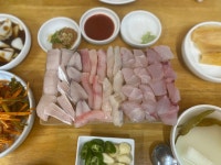 [선어마을] Galapagos님의 좋음 포스트 2022/5/6