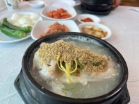백제삼계탕 - 임당동 삼계탕 | 뽈레 Polle [백제삼계탕] 임당동 삼계탕 | 뽈레 Polle
