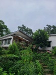[이화에월백하고] YNZ님의 추천 포스트 2022/8/12