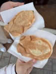 모찌고 - 행리단길 디저트 | 뽈레 Polle [모찌고] 행리단길 디저트 | 뽈레 Polle