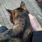 까치마을 건영빌라 관리사무소 | 뽈레 Polle [까치마을 건영빌라 관리사무소] | 뽈레 Polle