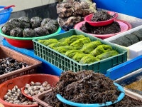 [남해 전통시장] 따뜻해님의 좋음 포스트 2023/1/19