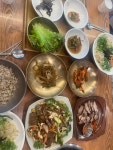 [꽁당 보리밥 본점] 유미숙씨님의 좋음 리뷰 2023/5/13