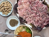 [동강횟집] 야간열차님의 추천 리뷰 2024/3/7