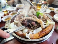 두꺼비곱창 - 문래동3가 곱창류 | 뽈레 Polle [두꺼비곱창] 문래동3가 곱창류 | 뽈레 Polle