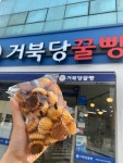 [거북당 꿀빵] XD님의 별로 포스트 2023/3/2