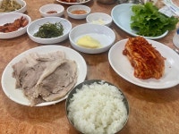 [천하보쌈] 말많은 琴식당님의 추천 리뷰 2023/4/6