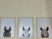 [스테이블 14] 빠숑님의 좋음 포스트 2022/8/7