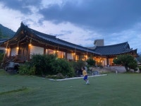 [청화공간] 생강님의 리뷰 2025/6/27