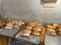 [잡학다식] 당뉴님의 리뷰 2025/5/6