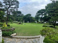 [더 힐 하우스] 최고야님의 좋음 리뷰 2022/7/9