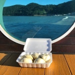 [일광당 찐빵 손만두] r!v님의 추천 리뷰 2019/9/13