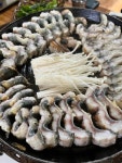 [산포장어] 코코님의 추천 포스트 2023/11/22