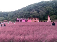 허브아일랜드 - 신북면 관광지 | 뽈레 Polle [허브아일랜드] 신북면 관광지 | 뽈레 Polle
