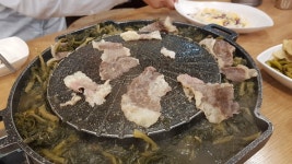 따봉시래기 : 나만의 맛집 지도, 뽈레 [따봉시래기] 광주광역시 서구 양동