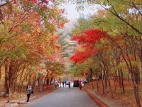 [필례 약수터] 두부1호님의 추천 리뷰 2023/11/3