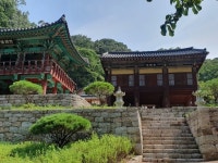 장곡사 | 뽈레 Polle [장곡사] | 뽈레 Polle
