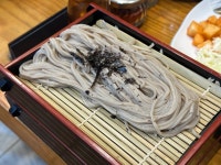 [송옥 본점] 비교적온순님의 리뷰 2025/3/13