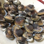 [벌교 꼬막 포차] 야근쟁이님의 좋음 리뷰 2019/1/1