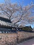 나주 목사내아 - 금계동 한옥스테이 | 뽈레 Polle [나주 목사내아] 금계동 한옥스테이 | 뽈레 Polle