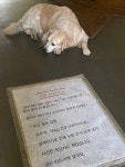 [더 리트리브] 오니님의 좋음 리뷰 2023/12/22