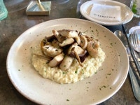 [스케줄 합정] 하초님의 추천 리뷰 2022/4/4