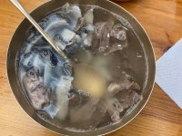 [하동관 강남분점] 포은님의 좋음 리뷰 2020/3/22